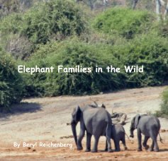 Elephant Families in the Wild book cover