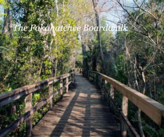 The Fakahatchee Boardwalk book cover
