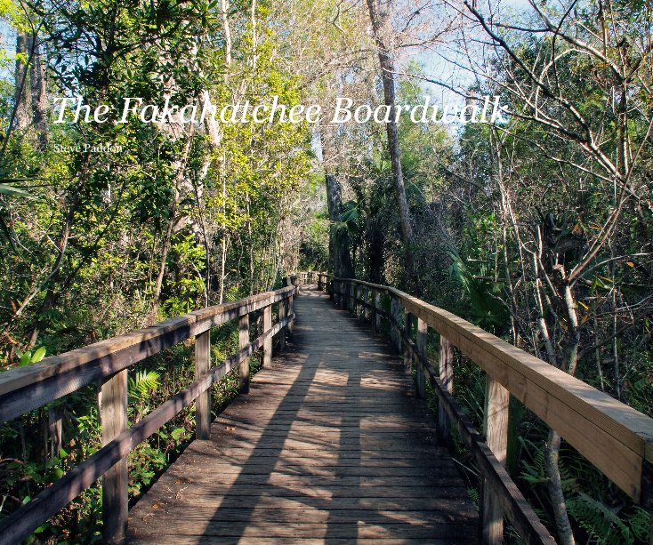 View The Fakahatchee Boardwalk by Steve Paddon