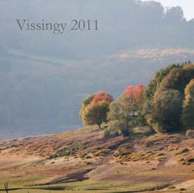 Vissingy 2011 book cover