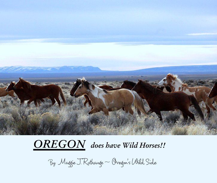 Oregon Does Have Wild Horses Von Maggie J Rothauge Oregon S Wild Side Blurb Bucher Deutschland