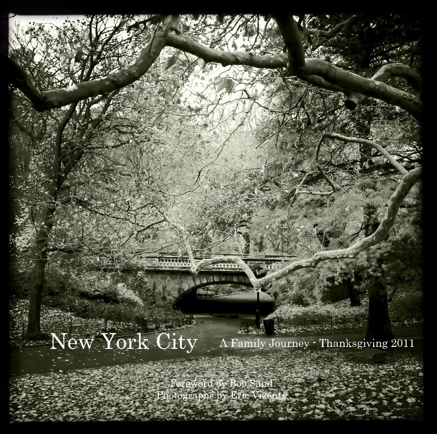 View New York City by Foreword by Bob Sand Photographs by Eric Vizents
