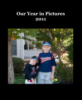 Our Year in Pictures 2011 book cover