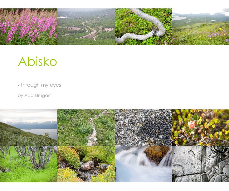 View Abisko by Ada Elmgart