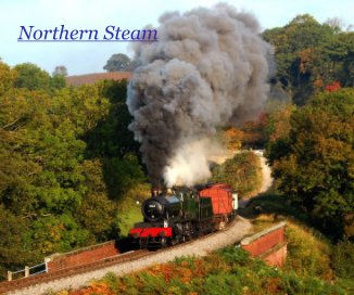 Northern Steam book cover