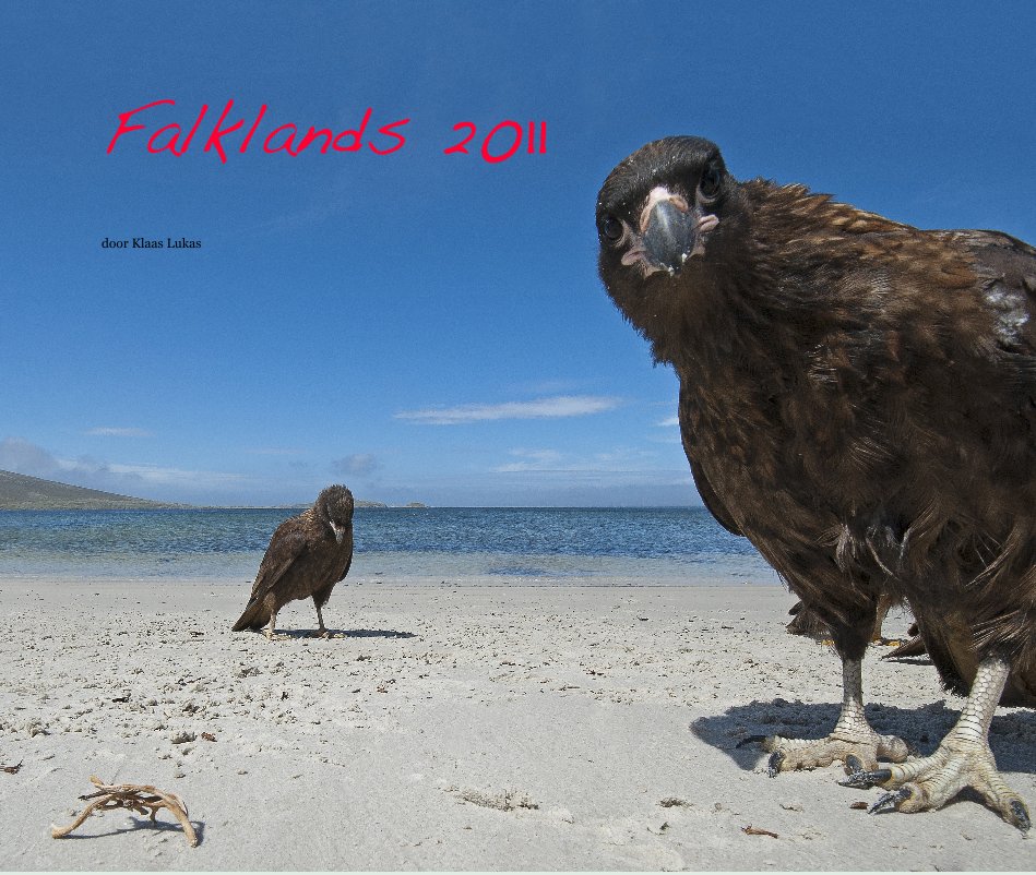 Ver Falklands 2011 por door Klaas Lukas