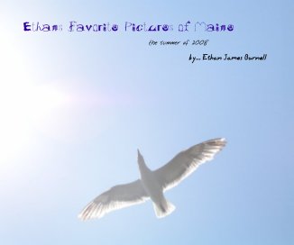 Ethans Favorite Pictures of Maine book cover