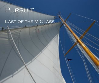 Pursuit - Last of the M Class (Smaller Size) book cover