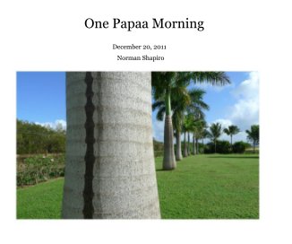 One Papaa Morning book cover
