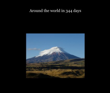 Around the world in 344 days book cover