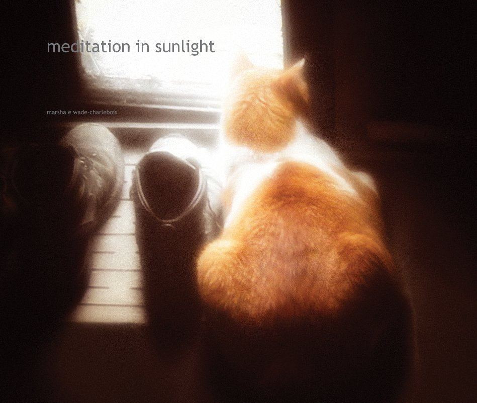 View Meditation In Sunlight by marsha e wade-charlebois
