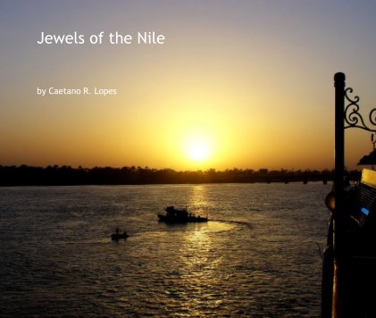 Jewels of the Nile book cover