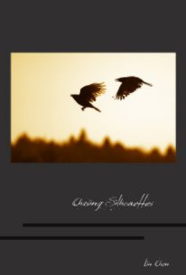 Chasing Silhouettes book cover