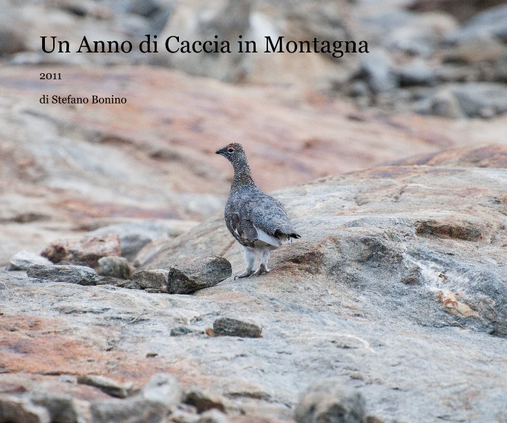 Un Anno di Caccia in Montagna nach di Stefano Bonino anzeigen