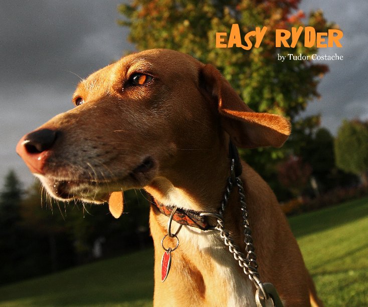 Ver Easy Ryder por Tudor Costache