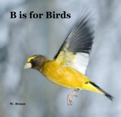 B is for Birds book cover