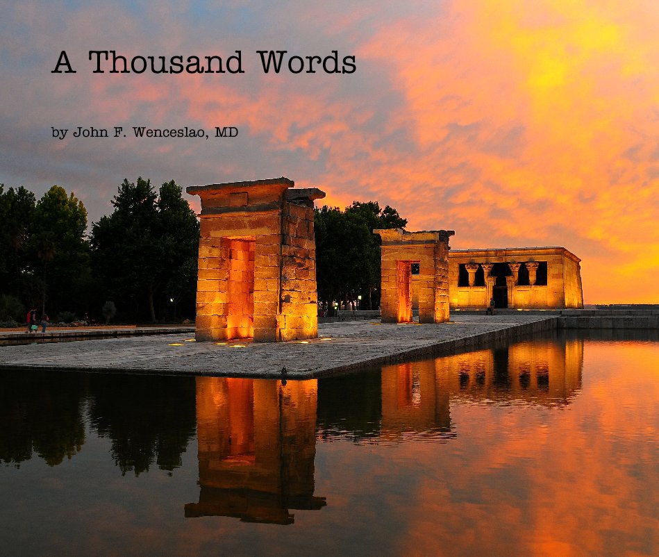 View A Thousand Words by John F. Wenceslao, MD