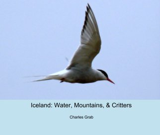 Iceland: Water, Mountains, & Critters book cover