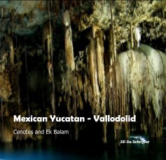 Mexican Yucatan - Vallodolid book cover