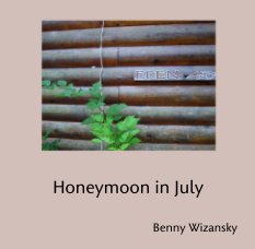 Honeymoon in July book cover