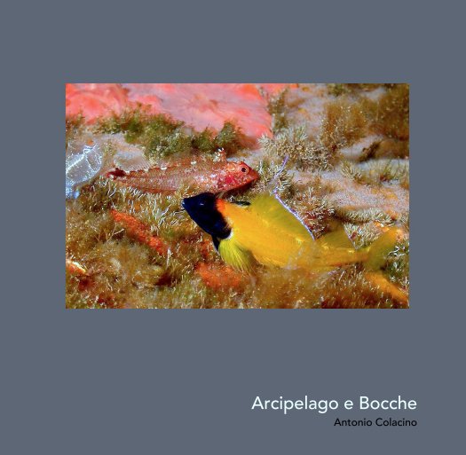 Ver Arcipelago e Bocche por Antonio Colacino