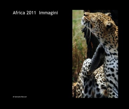 Africa 2011  Immagini book cover