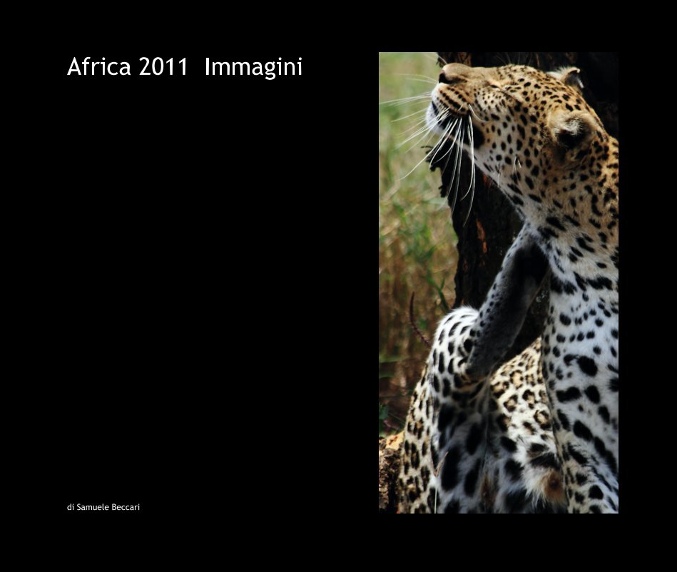 View Africa 2011  Immagini by di Samuele Beccari