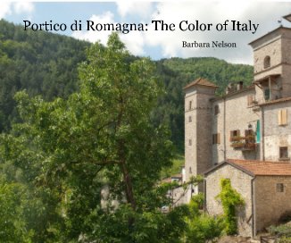 Portico di Romagna: The Color of Italy book cover