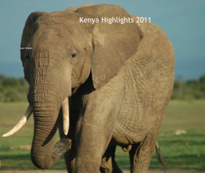 Kenya Highlights 2011 book cover