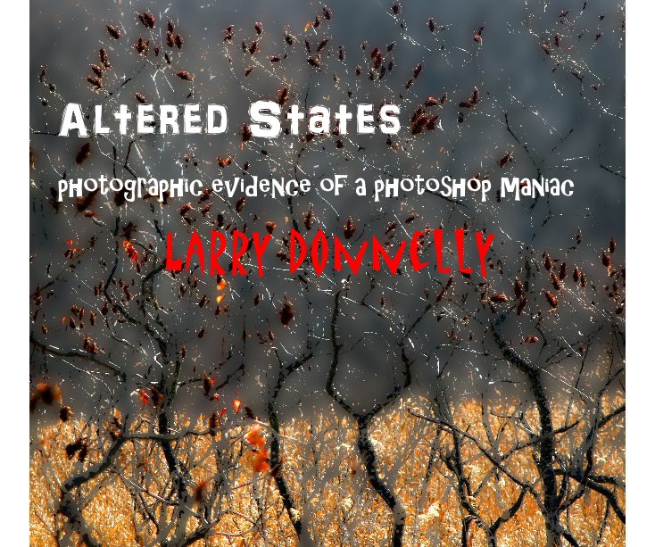 View Altered States by Larry Donnelly