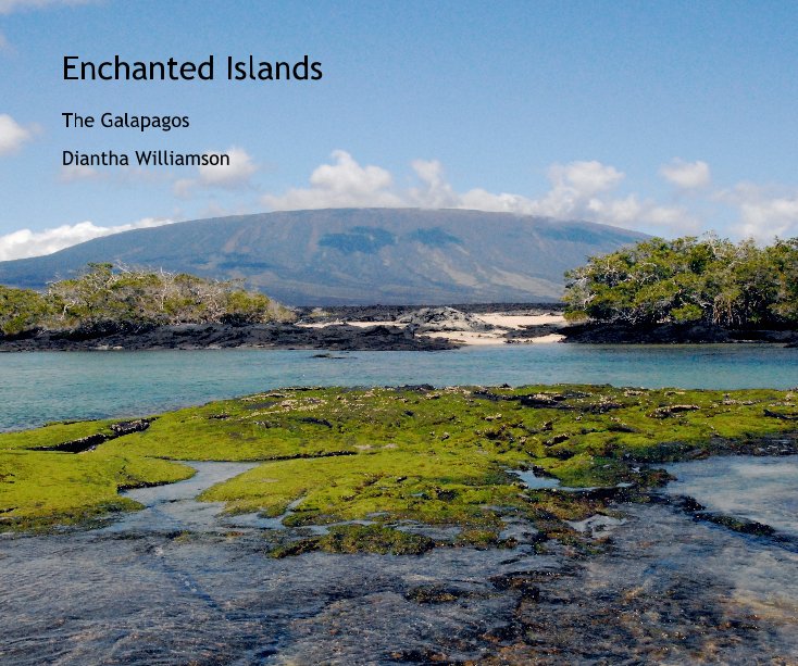 View Enchanted Islands by Diantha Williamson