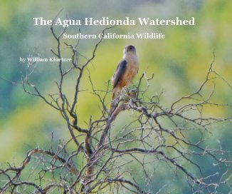 The Agua Hedionda Watershed book cover