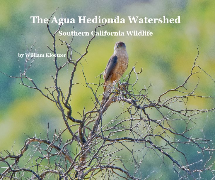 View The Agua Hedionda Watershed by William Kloetzer