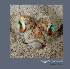 Tegge's monsters! book cover