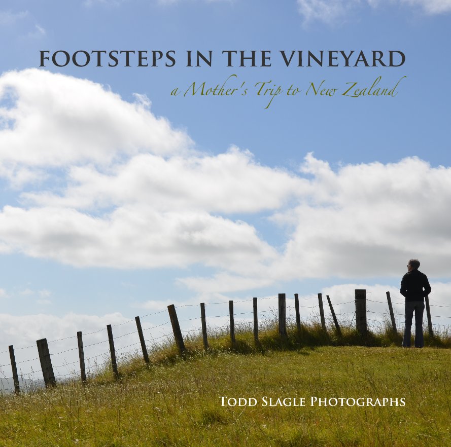 View Footsteps in the Vineyard by Todd Slagle