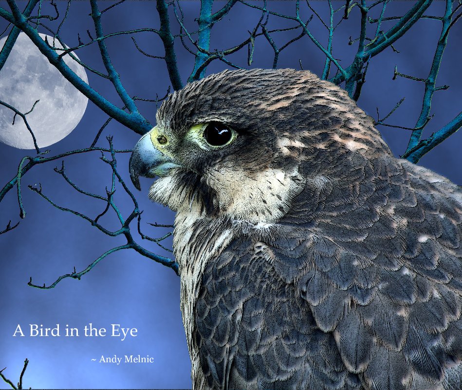 View A Bird in the Eye by ~ Andy Melnic