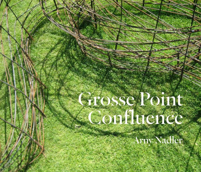 Visualizza Grosse Point Confluence di Arny Nadler