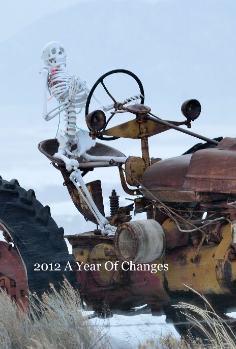View Untitled by 2012 A Year Of Changes