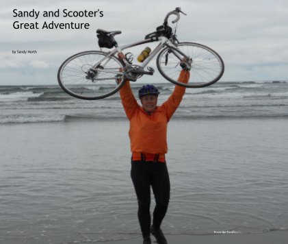 Sandy and Scooter's Great Adventure book cover
