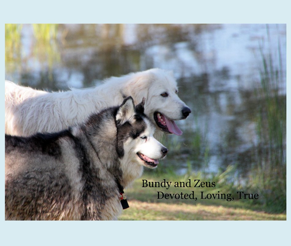 View Bundy and Zeus Devoted, Loving, True by Marina Hobbs