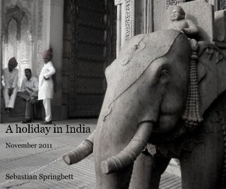 A holiday in India book cover