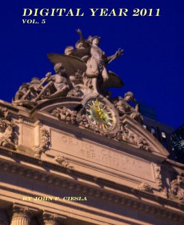 Digital Year 2011 Vol. 5 book cover