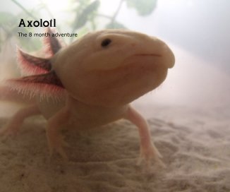 Axolotl book cover