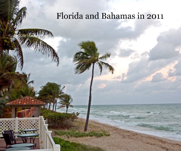View Florida and Bahamas in 2011 by Eric Hadley-Ives
