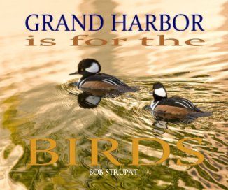 Grand Harbor Is For The Birds book cover