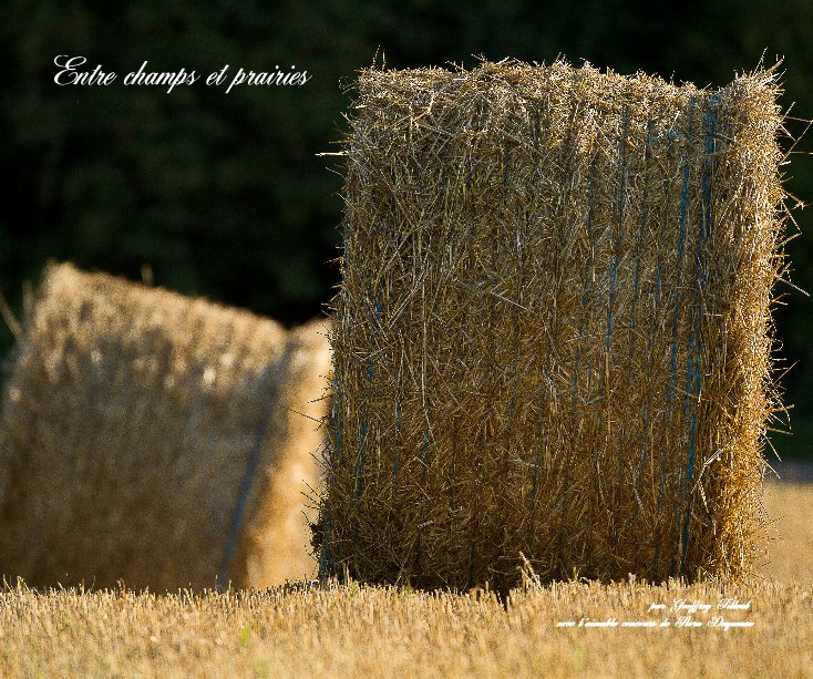 View Entre champs et prairies by par Geoffrey Filleul avec l'aimable concours de Flora Dequenne