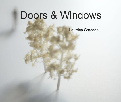 Doors & Windows book cover