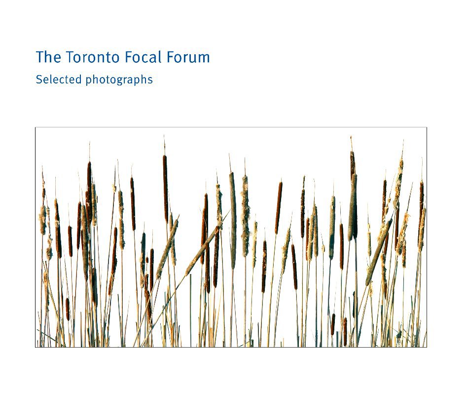 View Toronto Focal Forum by Toronto Focal Forum