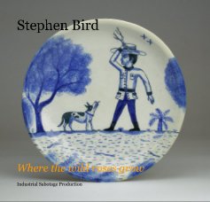 Stephen Bird book cover