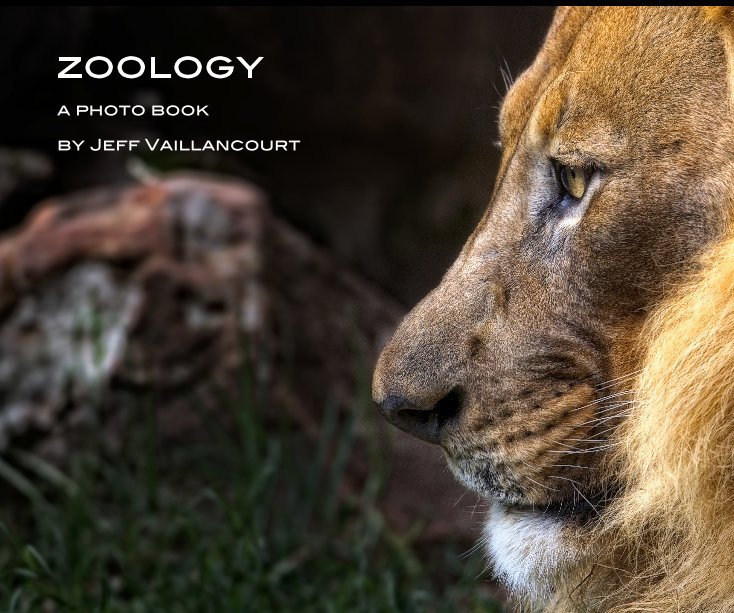 Visualizza zoology di Jeff Vaillancourt